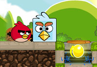 Angry Birds Find Your Partner