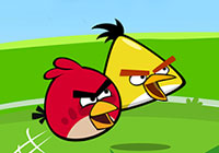 Couple Birds